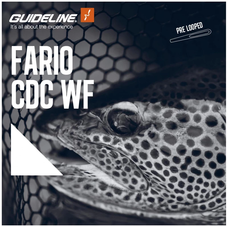 Guideline Fario CDC WF – Bild 2