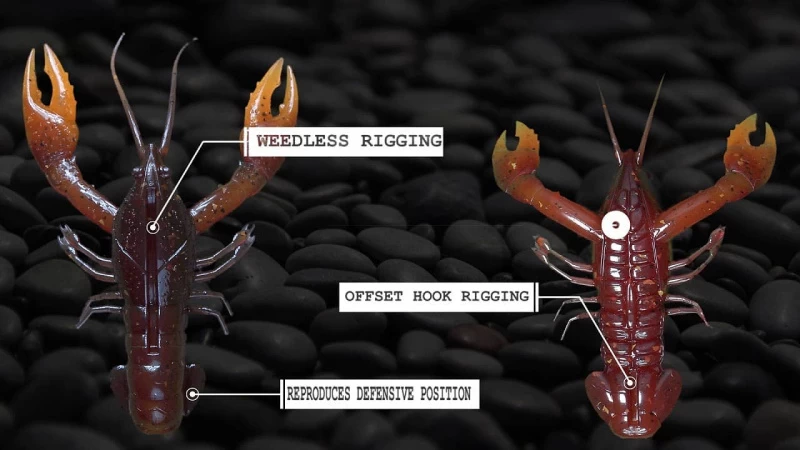 Nikko Craw 8,1cm (5stk.) – Bild 5